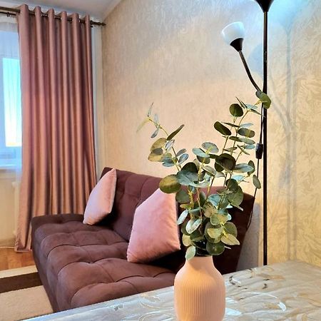 Apartment На Стрелке С Красивым Видом На Иртыш Ustʼ-Kamenogorsk Eksteriør billede