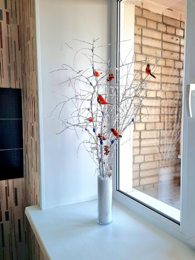 Apartment На Стрелке С Красивым Видом На Иртыш Ustʼ-Kamenogorsk Eksteriør billede