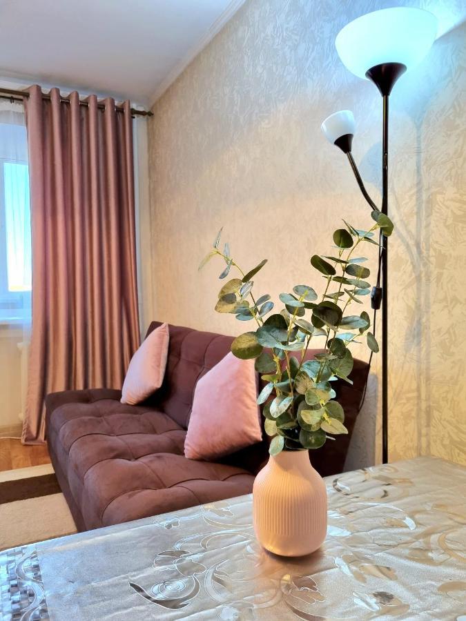Apartment На Стрелке С Красивым Видом На Иртыш Ustʼ-Kamenogorsk Eksteriør billede